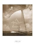 Savannah by Kahn M.. Art Print Poster FRAME IT.. 12 inches width by 16 inches height. Highest Quality Art Poster Print