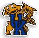 Kentucky Wildcats 12 Car Magnet