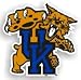 Kentucky Wildcats 12 Car Magnet