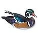 Quarter- Life-size Wood Duck Drake
