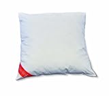 Produkt-Bild: Badenia Bettcomfort 03620910123 Daunenkissen Trendline Comfort, 80 x 80 cm