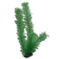 Hobby Egeria - 34cm