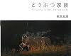 どうぶつ家族―Mitsuaki Iwago Photographs