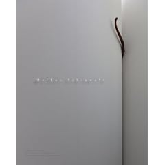 Le Biennale di Venezia 2011 (Esposizione Internazionale D'arte)