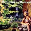 Buddha and Bonsai Volume 4