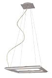 31fSC8TserL. SL160  4 Light Pendant   Silver