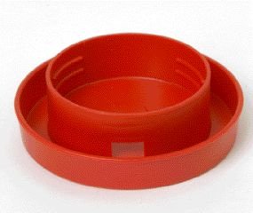 Quail Base Poultry Feeder in Red - 1 Quart