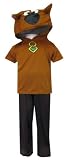 Scooby Doo Pajamas With Hood for boys