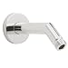 Speakman S-2540 Polished Chrome Neo Arm & Flange