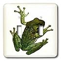 Frogs - Green Frog - Light Switch Covers - double toggle switch