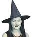 Halloween Hats | Witch Hat with Hair