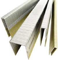 Senco L10BABN 18 Gauge by 1/4-inch Crown by 5/8-inch Electro Galvanized Staples (5,000 per box)