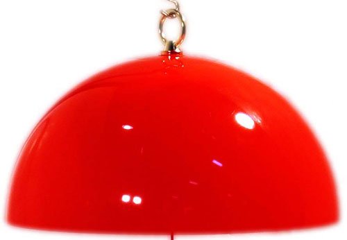 Songbird Essentials SESQ83R Hummingbird Helmet Bird