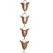 Monarch International Bell Cup Rain Chain