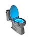 NightGlow - Motion Activated Toilet Nightlight with 8 Colors by American Pumpkins