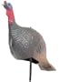 Carry - Lite� Jake Turkey Decoy