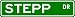 STEPP Street Name Sign ~ Family Lastname Sign ~ Gameroom, Basement, Garage Sign