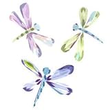 Dragonflies Wallies Wallpaper Cutouts