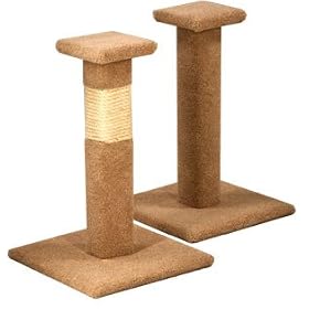 Pacific Pets Capped Scratching Post : Color GREEN : Pole Covering ROPE & CARPET : Size 25 INCHES