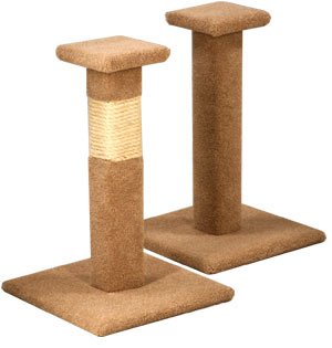 Buy Pacific Pets Capped Scratching Post : Color TAN : Pole Covering ROPE & CARPET : Size 25 INCHES