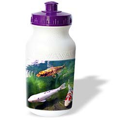 Fishing - Chinese Koi Carp Fish - Water Bottles
