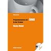 Programmieren mit Java in der Schule - Master-Modul