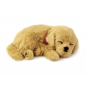 Perfect Petzzz Golden Retriever by 