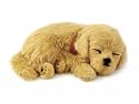 Perfect Petzzz Golden Retriever