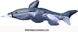 6ft 3D Shark Windsock