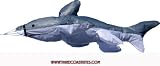 6ft 3D Shark Windsock