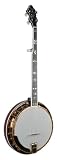 Recording King Soloist Resonator Banjo, Sunburst Finish, Gold Hardware - B001BM3WFG