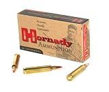 204 Ruger 40Gr V-Max Ammo/20
