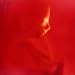 Human Fetus 10-15 Weeks Fetus 1st Trimester Photographic Poster Print, 16x16