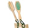 Amphora Body Brush/Massager