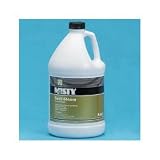 Misty Redi-Steam Carpet Cleaner