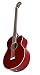Michael Kelly Dragonfly 5 String Acoustic Bass, Trans Black Cherry