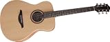 Hohner Essential Folk Guitar