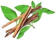 cinna-mint sugar