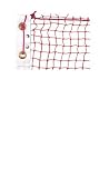 Buy Yonex Official Tour Badminton Net
