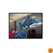 Air Swimmer Remote Control Inflatable Flying Shark