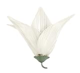 Nulco Lighting Wall Sconces 3479 07 YE Yellow Orchid Sconce 2Lt Chrome