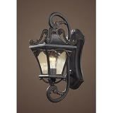 Elk Lighting Hamilton Park Outdoor Sconce