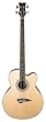Dean Acoustic/Electric Bass Cutaway Satin Finish
