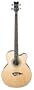 Dean Acoustic-Electric Bass Cutaway Satin Finish