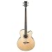 Dean Acoustic-Electric Bass Cutaway Satin Finish