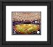 Framed Tropicana Field Tampa Bay Rays Photograph