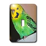 Birds - Budgie Parakeet - Light Switch Covers - single toggle switch