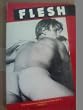 True Homosexual Experiences from S.T.H. Writers: Flesh v. 2