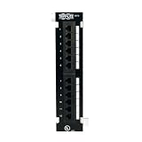 Tripp Lite N250-012 Cat6 Wall Mount Feedthrough Patch Panel -12 Port
