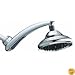 Waterpik RPB-173 Drenching Rain Fall Showerhead